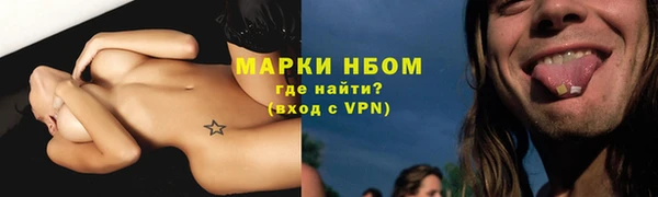 ПСИЛОЦИБИНОВЫЕ ГРИБЫ Аркадак
