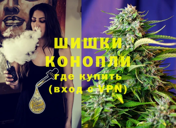 ПСИЛОЦИБИНОВЫЕ ГРИБЫ Аркадак