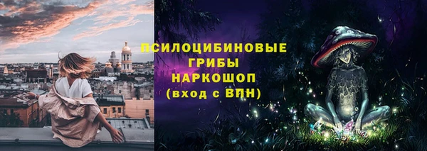 ПСИЛОЦИБИНОВЫЕ ГРИБЫ Аркадак