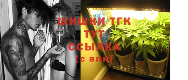 ПСИЛОЦИБИНОВЫЕ ГРИБЫ Аркадак