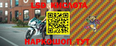 мдпв Гусев
