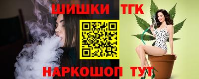 мдпв Гусев