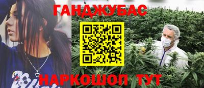 мдпв Гусев