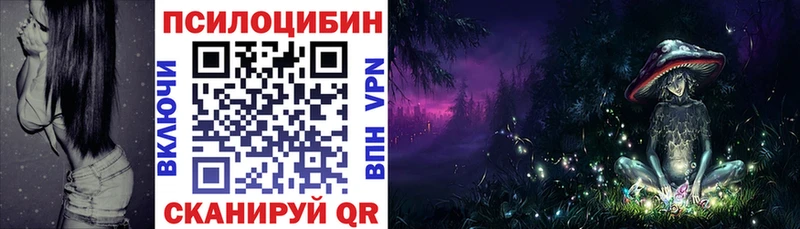 продажа наркотиков  Моздок  Галлюциногенные грибы Cubensis 