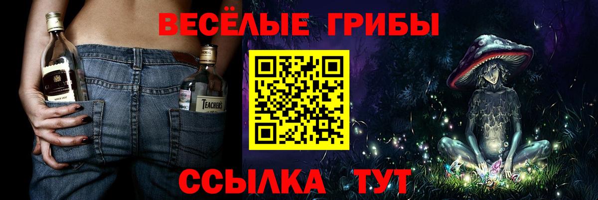 Моздок  Галлюциногенные грибы MAGIC MUSHROOMS  Галлюциногенные грибы прущие грибы  Вход с VPN 